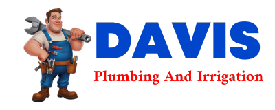 Trusted plumber in LAFOX